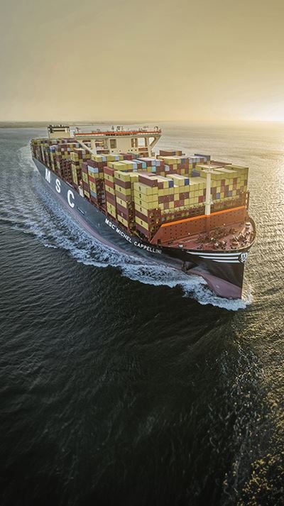 Cargo Management System